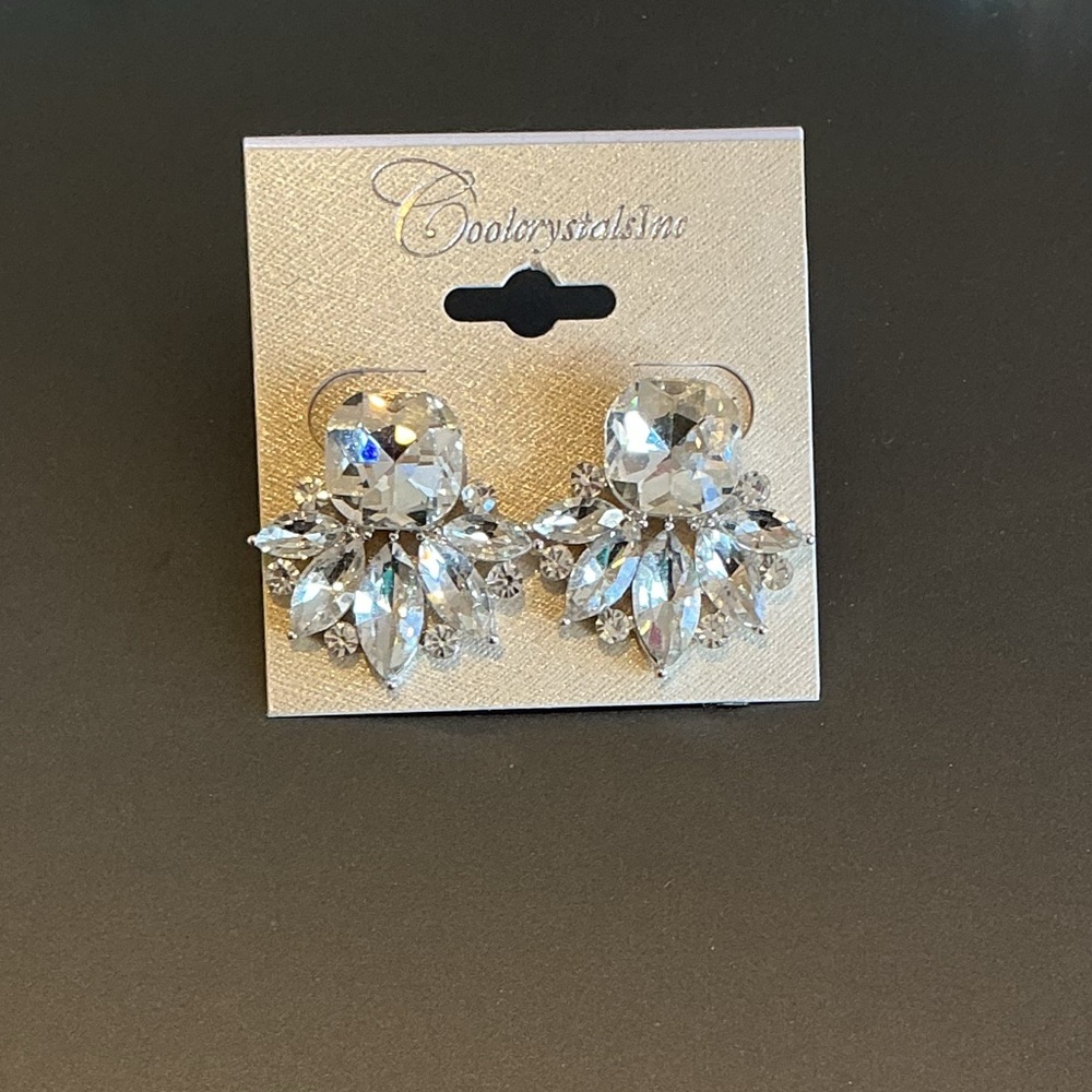 Silver Crystal Statement Earrings - image 1